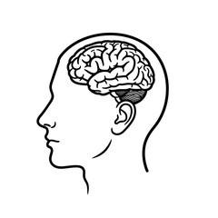 A black and white line drawing of a human head in profile with a visible brain inside the skull