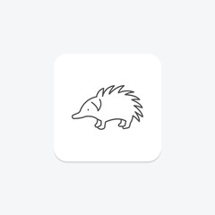 Echidna, vector, pixel perfect, illustrator file