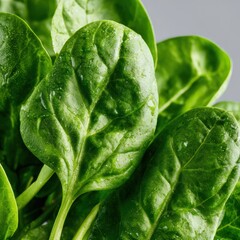 Fresh Raw Spinach Leaves Close-up on a Light Background