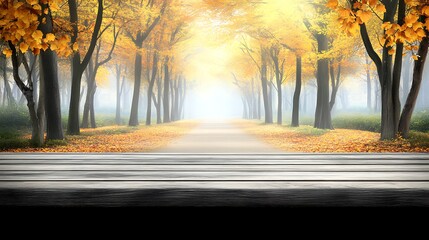 A pathway lined with trees in a misty autumnal forest.