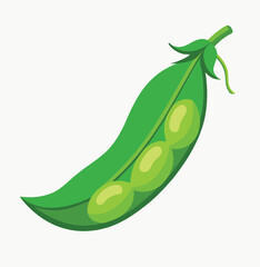 vector illustration of green peas
