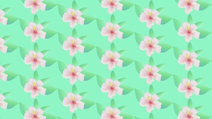 Seamless pattern of delicate pink hibiscus flowers and green leaves on a mint green background