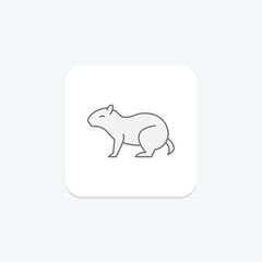 Agouti, vector, pixel perfect, illustrator file
