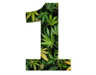 Stylized Cannabis Leaf Number 1 with Shadow and Depth, isolated on transparent background