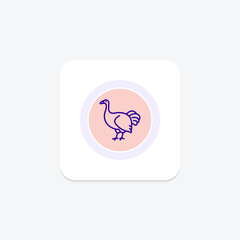 Brush Turkey, vector, pixel perfect, illustrator file