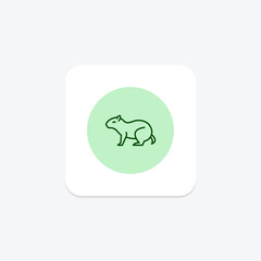 Agouti, vector, pixel perfect, illustrator file