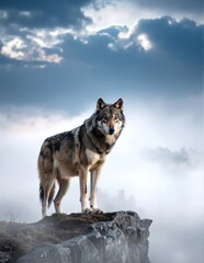 A majestic wolf stands proudly atop a rugged rock formation, its thick fur glistening in the sunlight, surrounded by a lush forest backdrop.