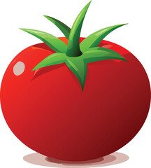 Tomato vector 