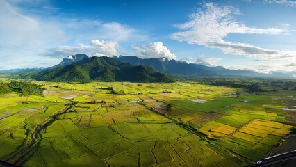 Droneshot of yellow-green rice fields with square grid pattern leading to misty mountains and clear blue sky