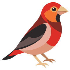 Alpha Finch Silhouette Vector