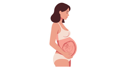 Illustration of pregnant woman with visible fetus in belly for education and awareness on maternal health