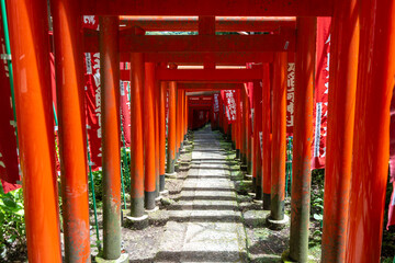 Path of red torii gates at Sasuke Inari-jinja, Kamakura