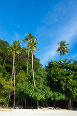 Paradise at Lia beach, Waleakodi Island, Togian archipelago, Sulawesi, Indonesia