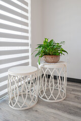 Minimalist corner with indoor plant and modern tables