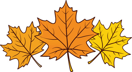 Hand Drawn Maple Leaves Autumn Colors.