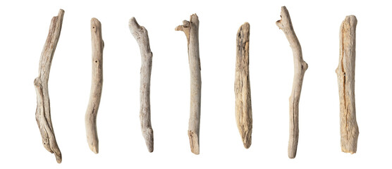 Collection of old dry branches collected on the beach, shaped by sea water, isolated on white...