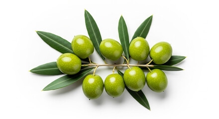 Photo of a vibrant green olive branch with numerous olives and leaves, presented elegantly isolated on a clean white background