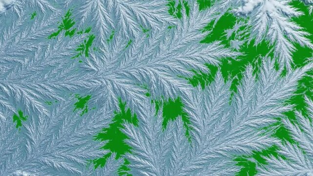 Abstract frost pattern animation with green screen and black screen transitions 4K