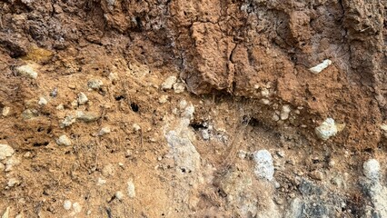 Rugged earth strata reveal ancient whispers of time, perfect for Earth Day reflections and World...