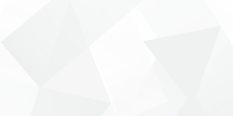 Fototapeta premium Abstract white Geometric banner design background.