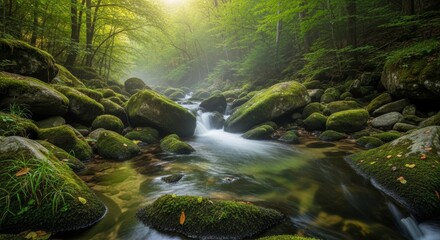 Obraz premium A pristine forest stream flows over moss-covered rocks, with early morning mist rising, bathed in soft sunlight, creating a tranquil wilderness scene.