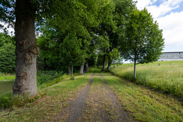 Lindenallee in Lipova u Sluknova in Tschechien 2