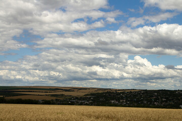 A field with a cloudy sky