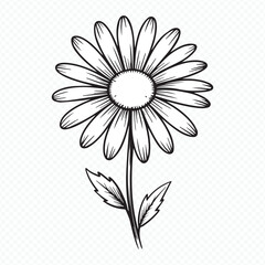 black and white daisy flower line art vector perfect for wedding invitations, logos, stationery and spring themes
