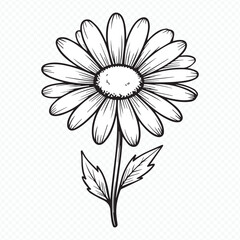 intricate daisy floral linework vector graphic for patterns, clipart, seamless borders and nature-inspired artwork
