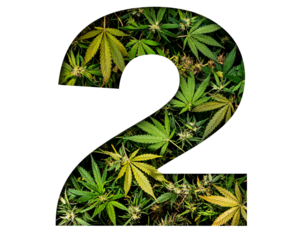 Collage Style Cannabis Leaf Number 2 with Shadow Depth, isolated on transparent background