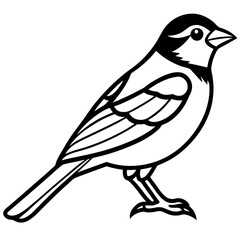 Majestic Sparrow Silhouette