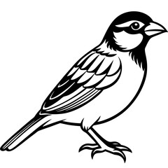 Majestic Sparrow Silhouette