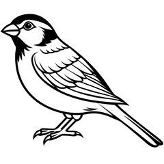 Majestic Sparrow Silhouette