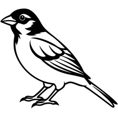 Majestic Sparrow Silhouette