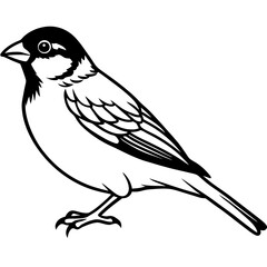 Majestic Sparrow Silhouette