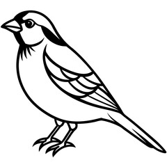 Majestic Sparrow Silhouette