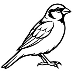 Majestic Sparrow Silhouette