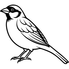 Majestic Sparrow Silhouette