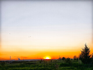 Sunset over a tranquil landscape with trees and distant birds flying in the evening sky