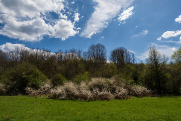 Amazing green meadow in the mountains. Meadow covered with blue sky filled with white fluffy clouds. Spring nature photography.