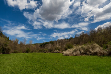Amazing green meadow in the mountains. Meadow covered with blue sky filled with white fluffy clouds. Spring nature photography.