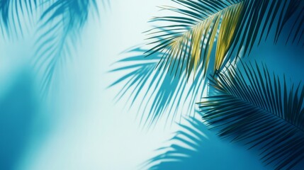 Serene turquoise backdrop showcasing vibrant palm fronds and soft shadows, evoking tropical relaxation and summer vibes.