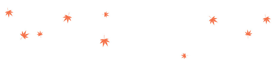 Falling red autumn leaves of maple, Japanese maple, momiji, isolated on transparent background. Hand drawn flat vector illustration. Seasonal symbol, backdrop, overlay, design element