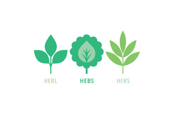 Flat Vector Herb Icons With Labels In Organic Style