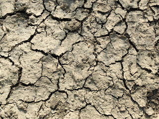 Beige texture of cracked drought earth, close-up from above
