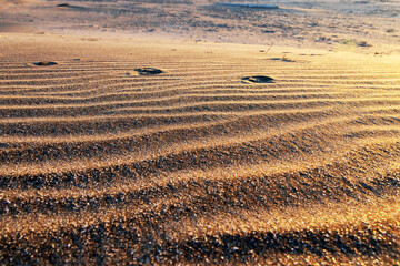 Golden beach sand with ripples caused by the wind