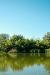 Obraz premium A serene body of water reflects lush green trees and a clear blue sky, creating a tranquil natural scene.