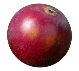 Obraz premium A red fruit with a green stem