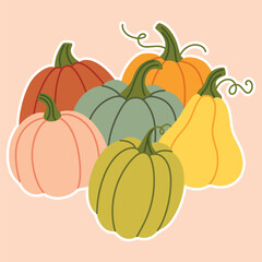 Colorful pumpkins and squash arranged together on pastel peach background. Autumn harvest food illustration