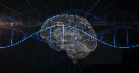 Obraz premium Holographic brain model glowing with blue DNA helix in digital lab, with light rays, particle lines